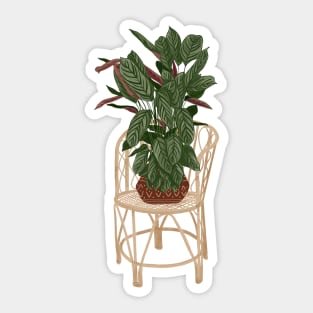 Calathea Plant 1 Sticker